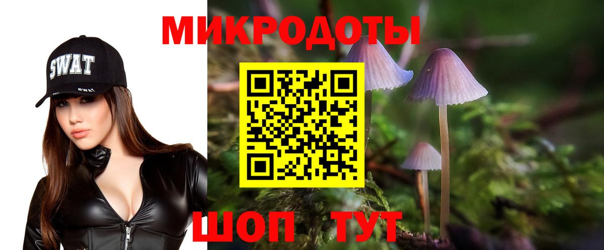 Галлюциногенные грибы Magic Shrooms Углич